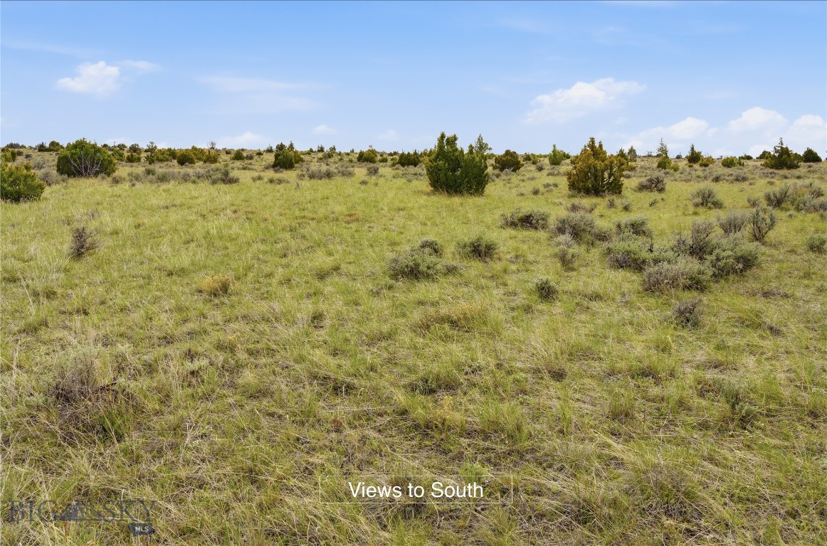 Lot 119 Cliffview Road Manhattan, MT 59741 - Photo 6 of 12 Gentle sloping
