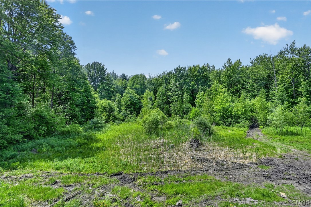 2433 County Rte 6 Volney, NY 13069 - Photo 43 of 49