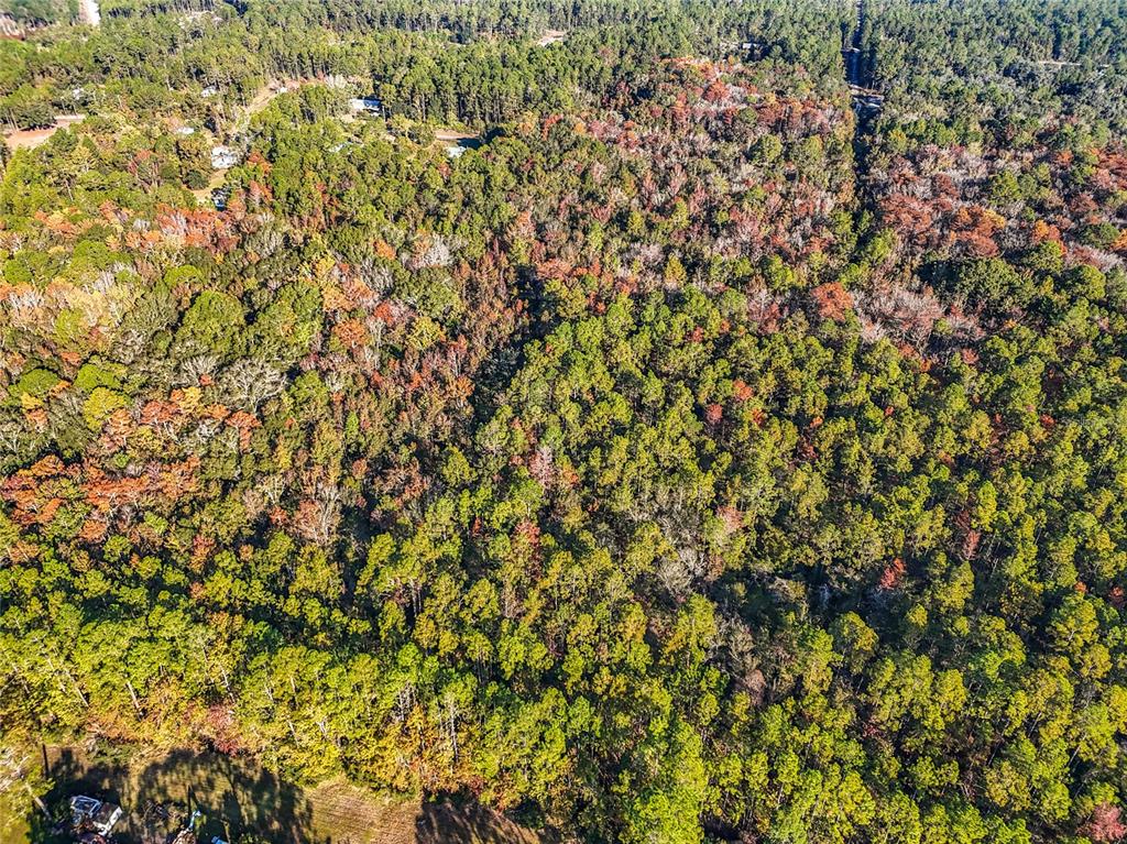 Southwest 6th Terrace Palatka, FL 32177 - Photo 11 of 18