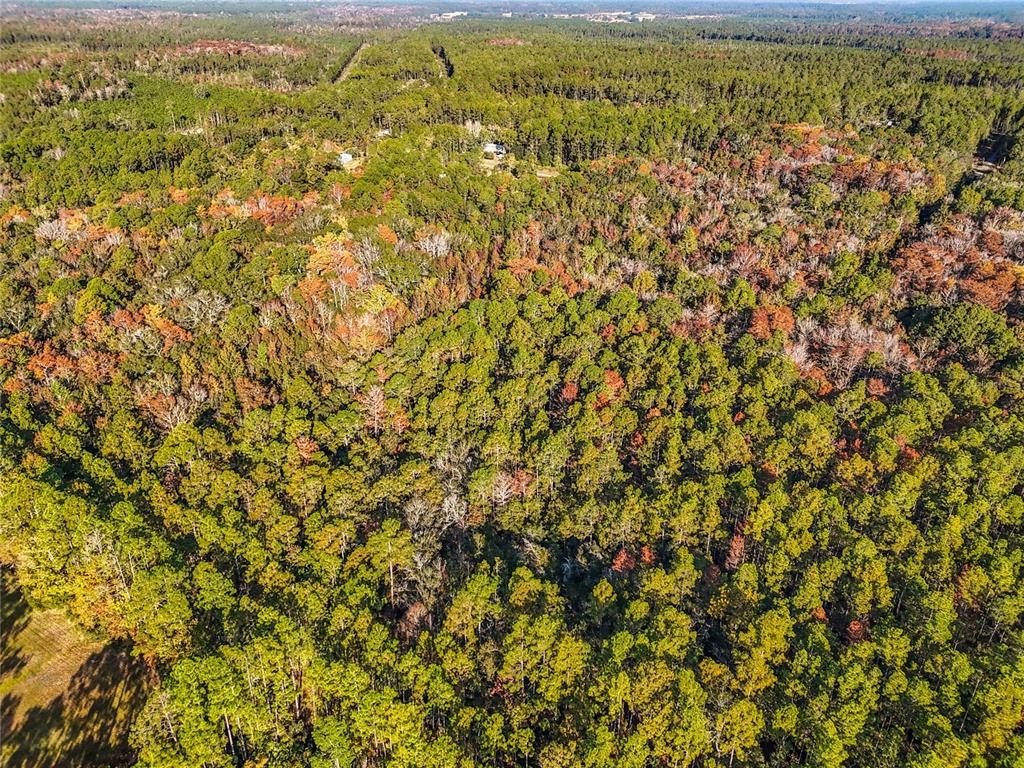 Southwest 6th Terrace Palatka, FL 32177 - Photo 14 of 18