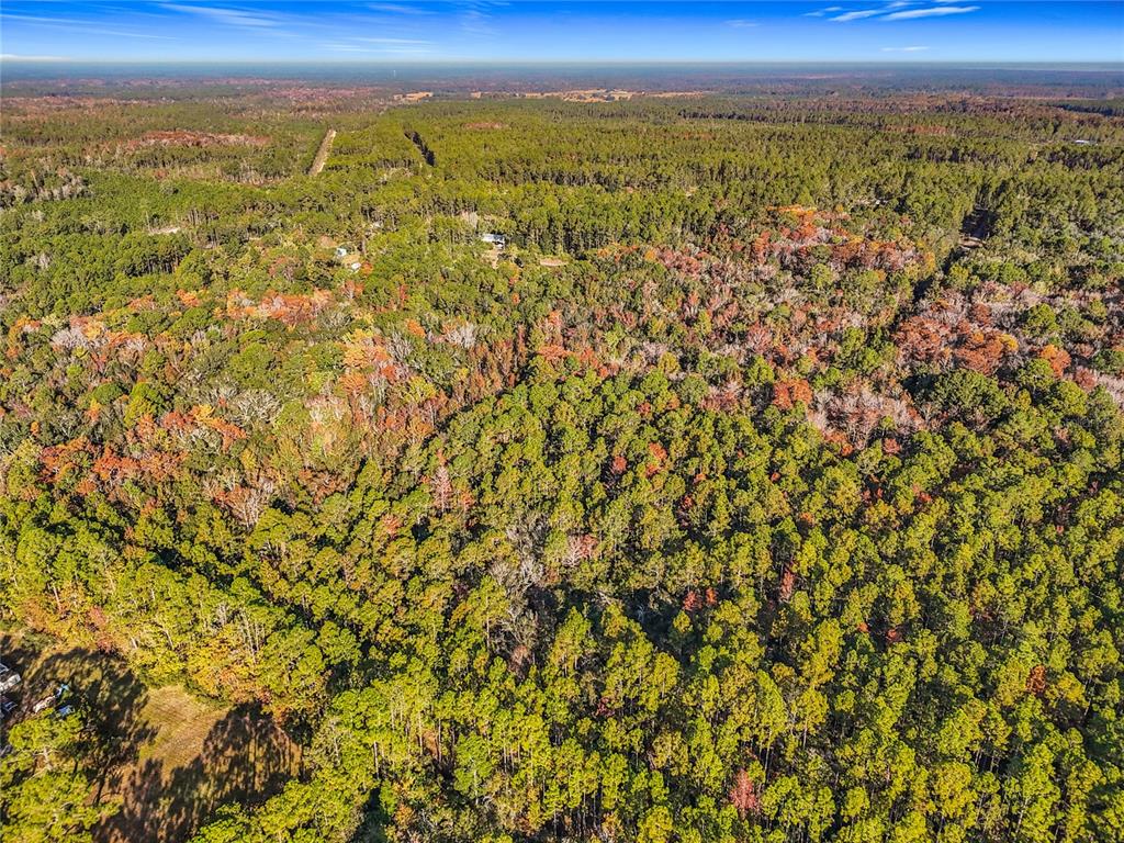 Southwest 6th Terrace Palatka, FL 32177 - Photo 16 of 18