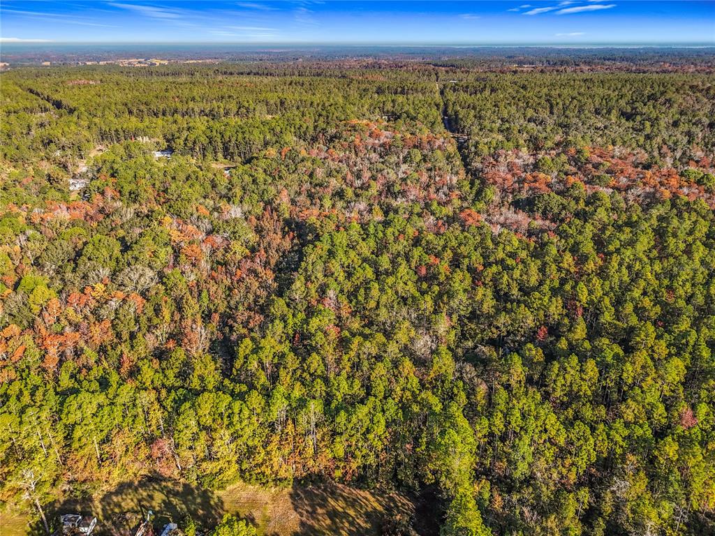 Southwest 6th Terrace Palatka, FL 32177 - Photo 17 of 18