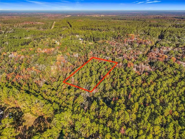 $21,000 | Southwest 6th Terrace, Palatka, FL 32177