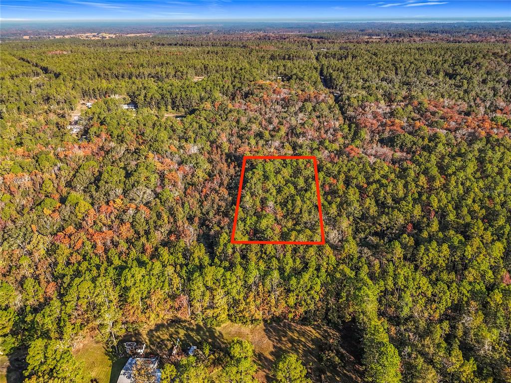 Southwest 6th Terrace Palatka, FL 32177 - Photo 3 of 18