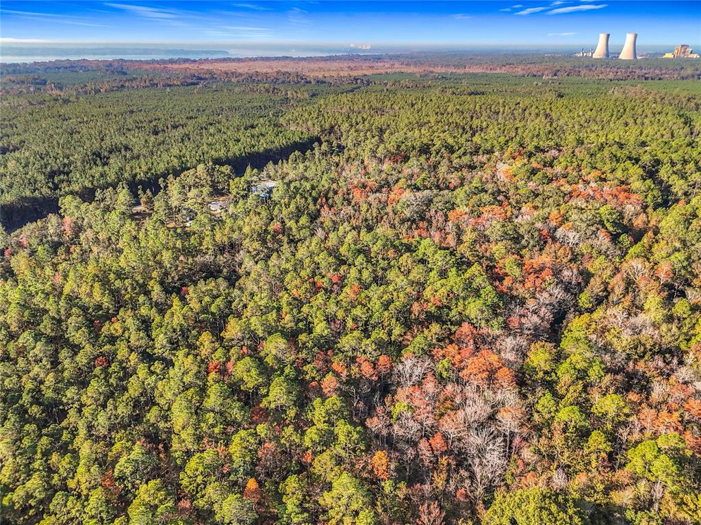 Southwest 6th Terrace Palatka, FL 32177 - Photo 4 of 18