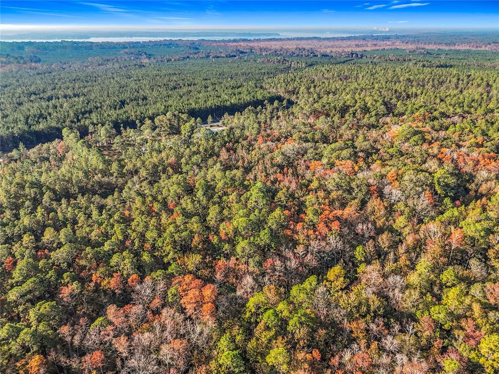 Southwest 6th Terrace Palatka, FL 32177 - Photo 5 of 18