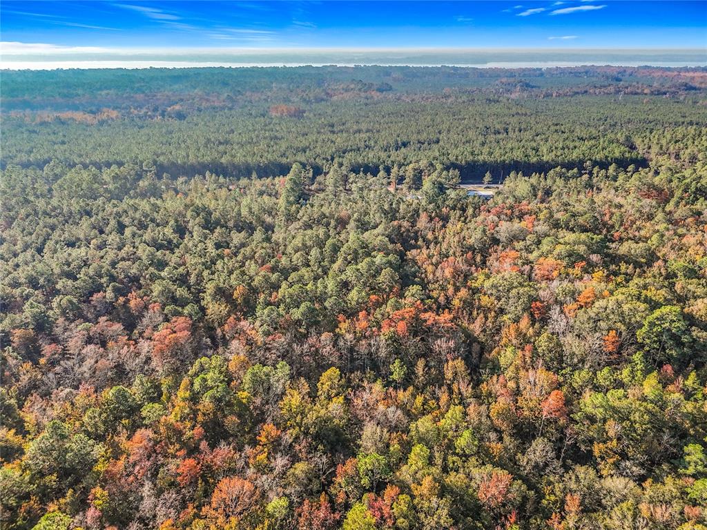 Southwest 6th Terrace Palatka, FL 32177 - Photo 6 of 18