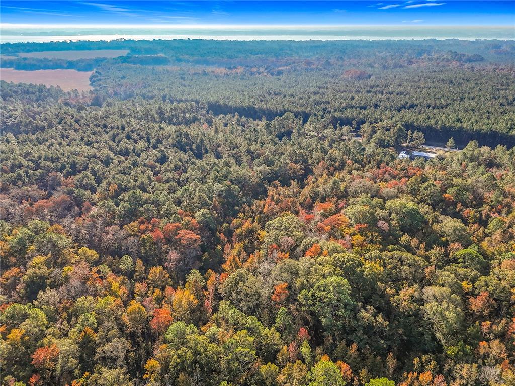 Southwest 6th Terrace Palatka, FL 32177 - Photo 7 of 18