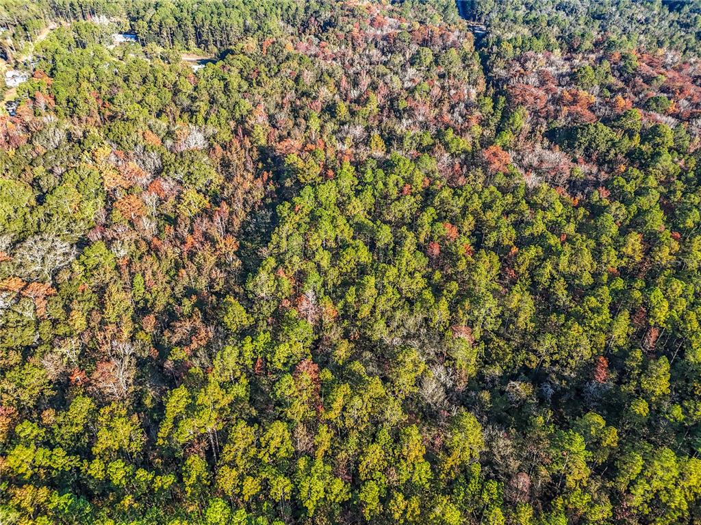 Southwest 6th Terrace Palatka, FL 32177 - Photo 8 of 18