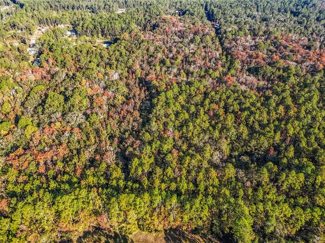 $21,000 | Southwest 6th Terrace, Palatka, FL 32177