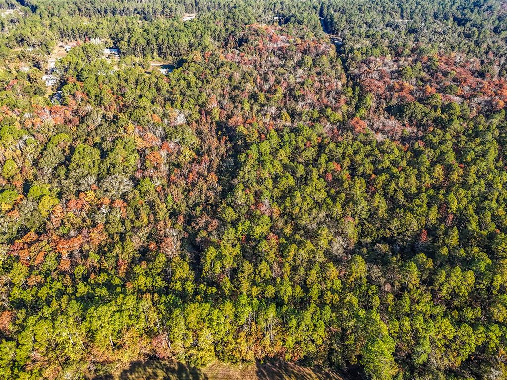 Southwest 6th Terrace Palatka, FL 32177 - Photo 10 of 18