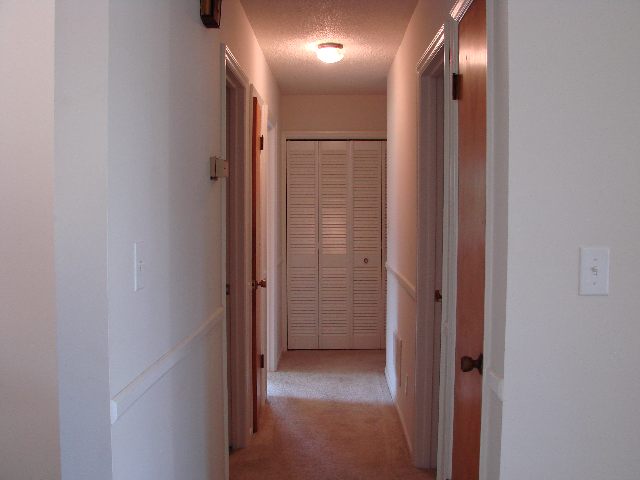 116 Becky Gibson Road Greer, SC 29651 - Photo 5 of 9