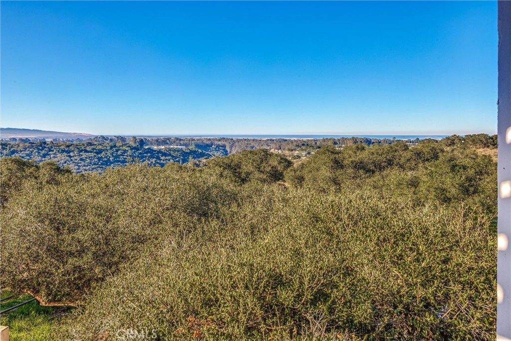 1790 Calle Laguna Arroyo Grande, CA 93420 - Photo 49 of 53