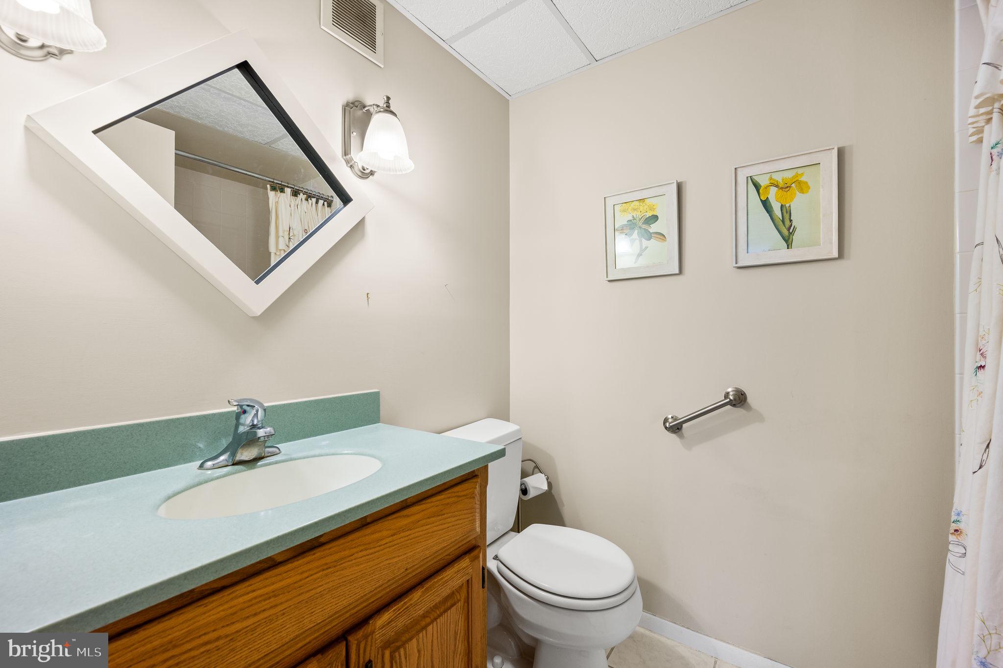 801 Yale Avenue, Unit 1119 Swarthmore, PA 19081 - Photo 15 of 32 Hall bathroom with shower-tub combination.