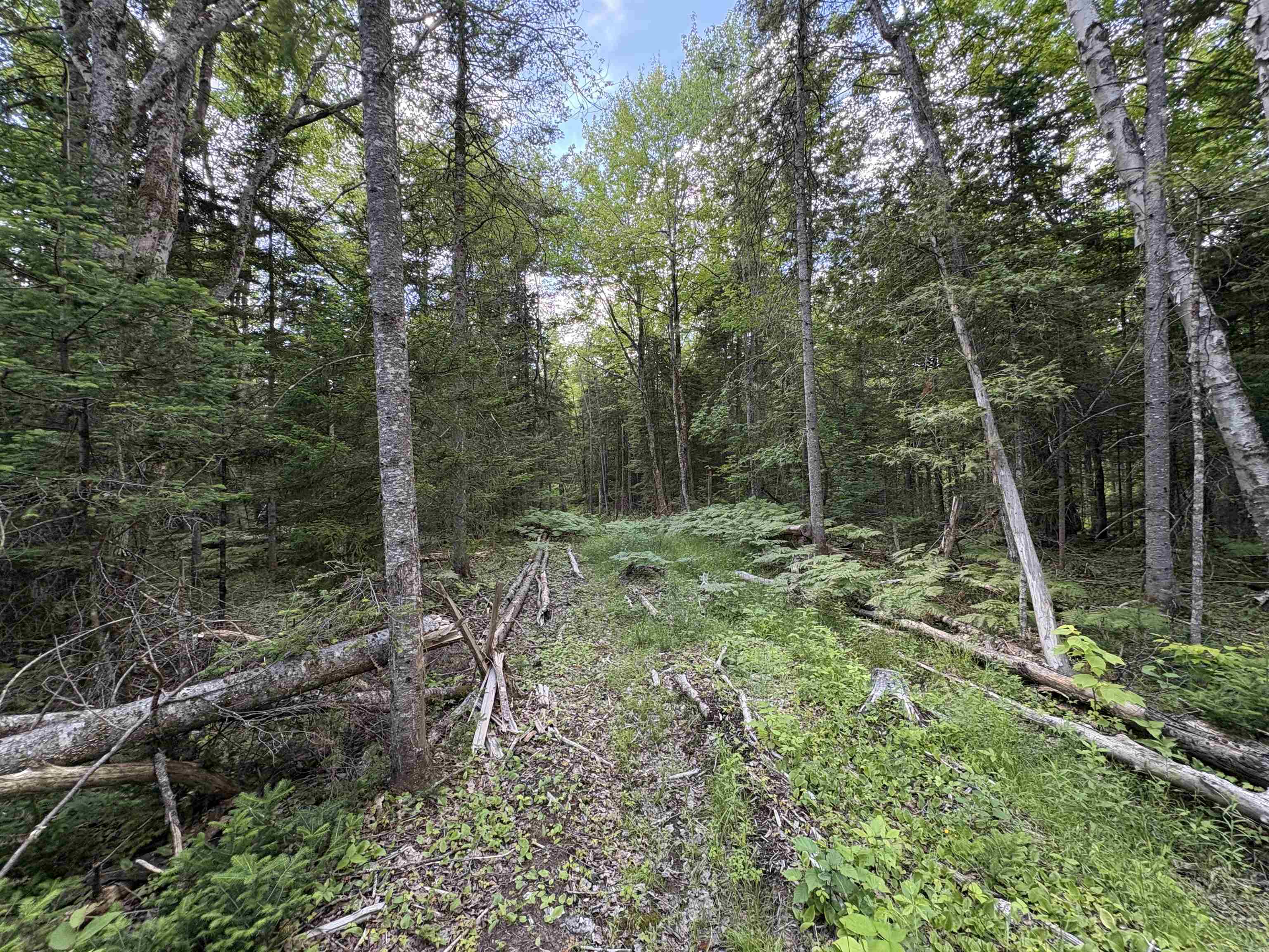 208 Drake Pl Road Sheffield, VT 05866 - Photo 40 of 43