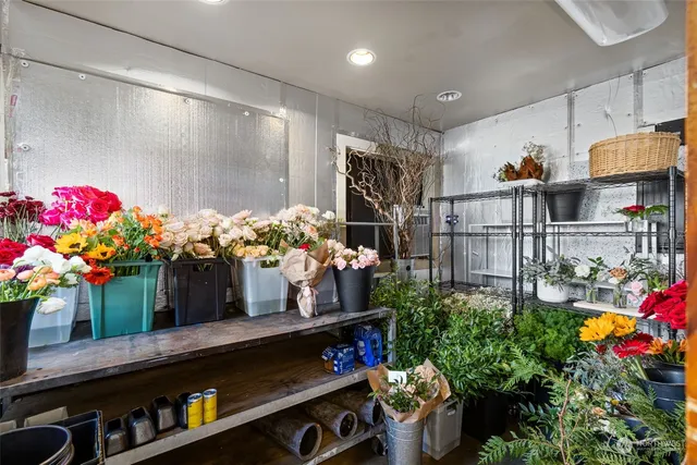 a bathroom with a toilet and a shower curtain