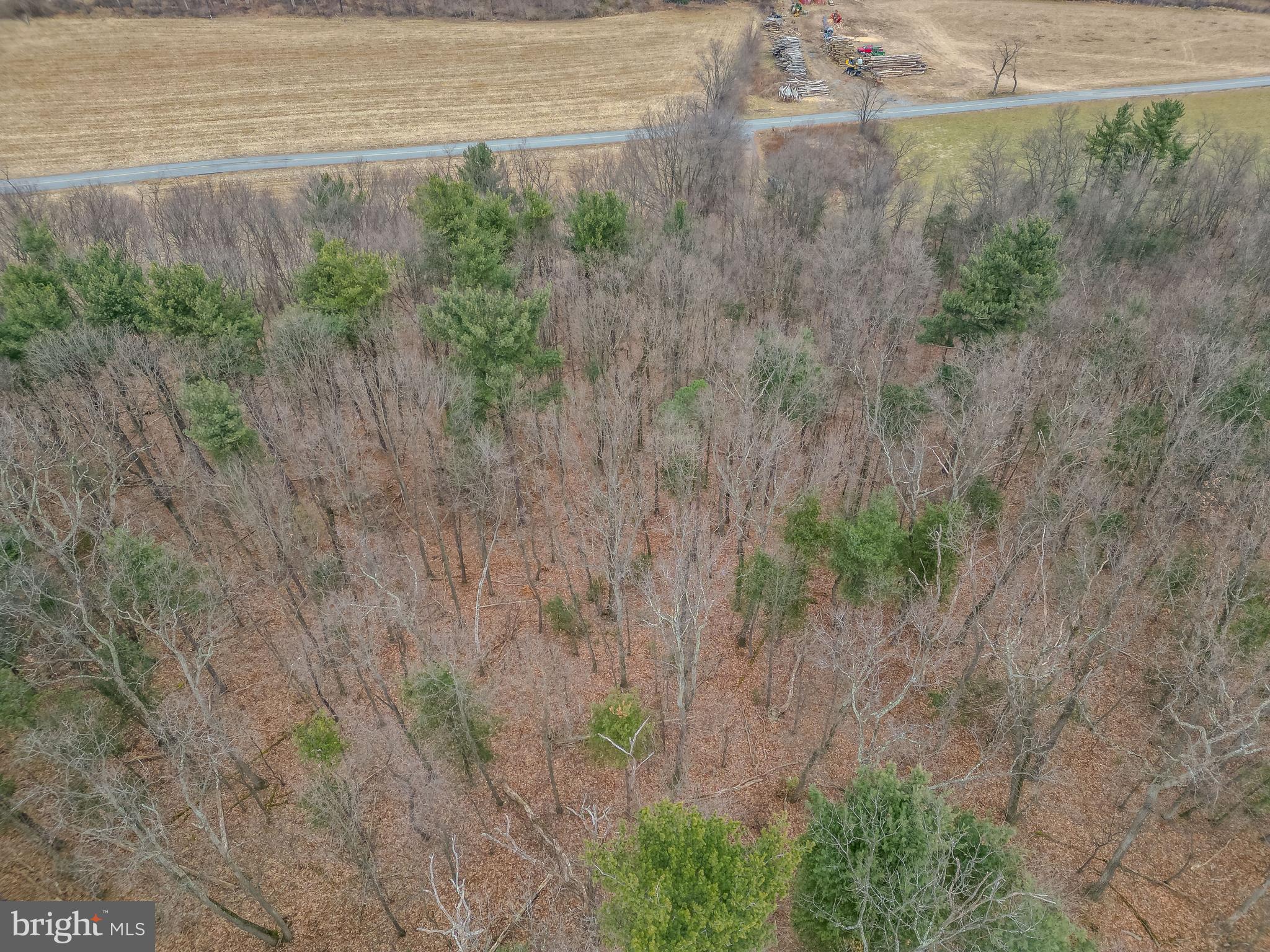 0 Vanormer Road, Unit 2 PARCEL McAlisterville, PA 17049 - Photo 14 of 19