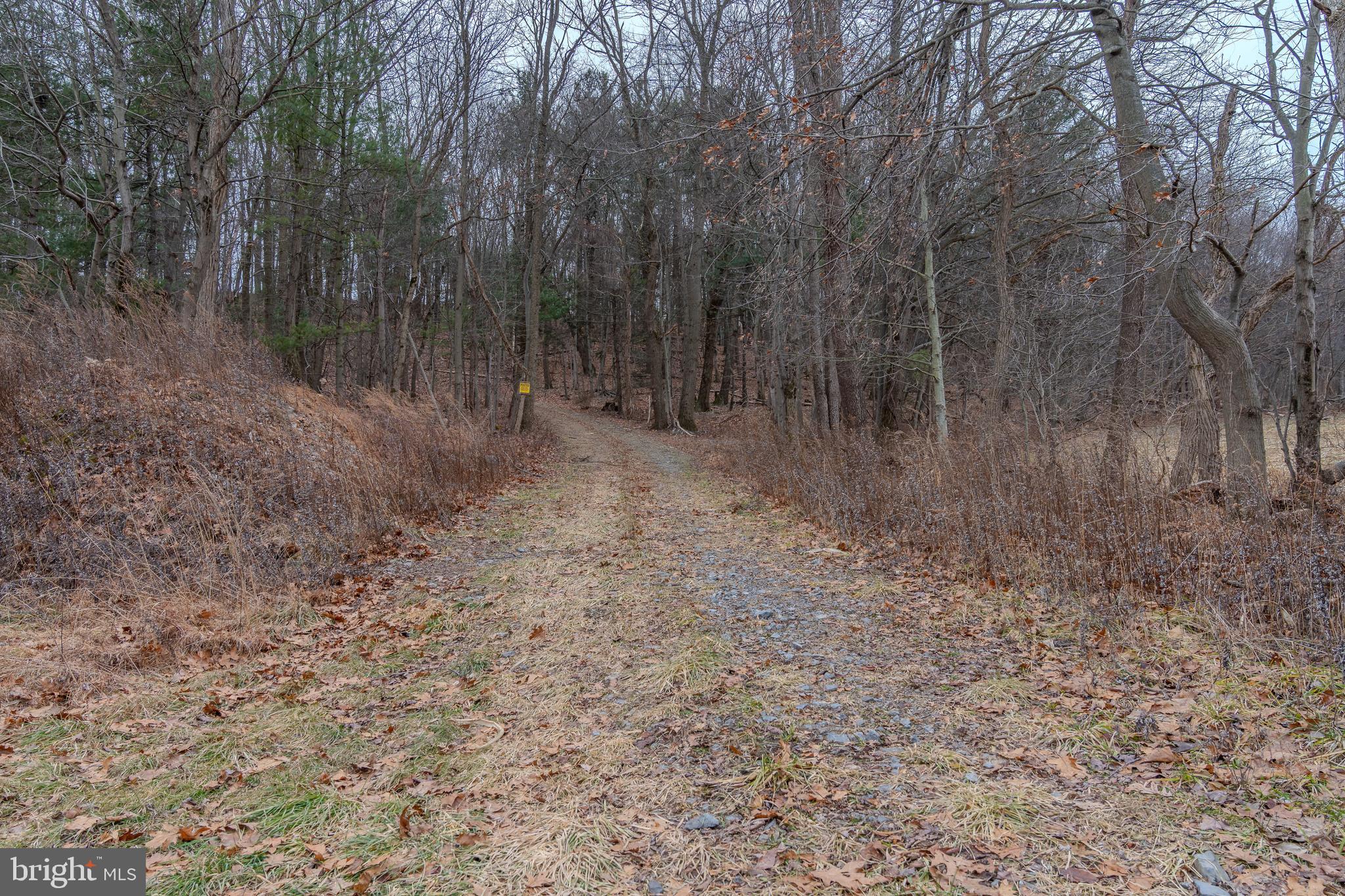 0 Vanormer Road, Unit 2 PARCEL McAlisterville, PA 17049 - Photo 2 of 19