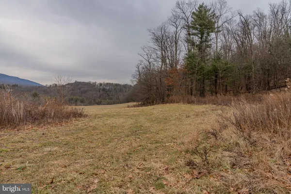 a view of mountain and lake