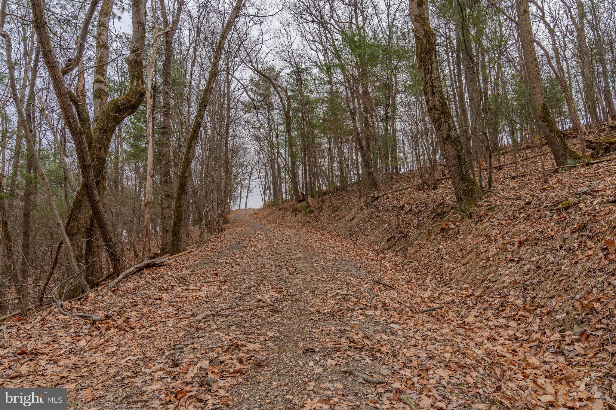 0 Vanormer Road, Unit 2 PARCEL McAlisterville, PA 17049 - Photo 4 of 19