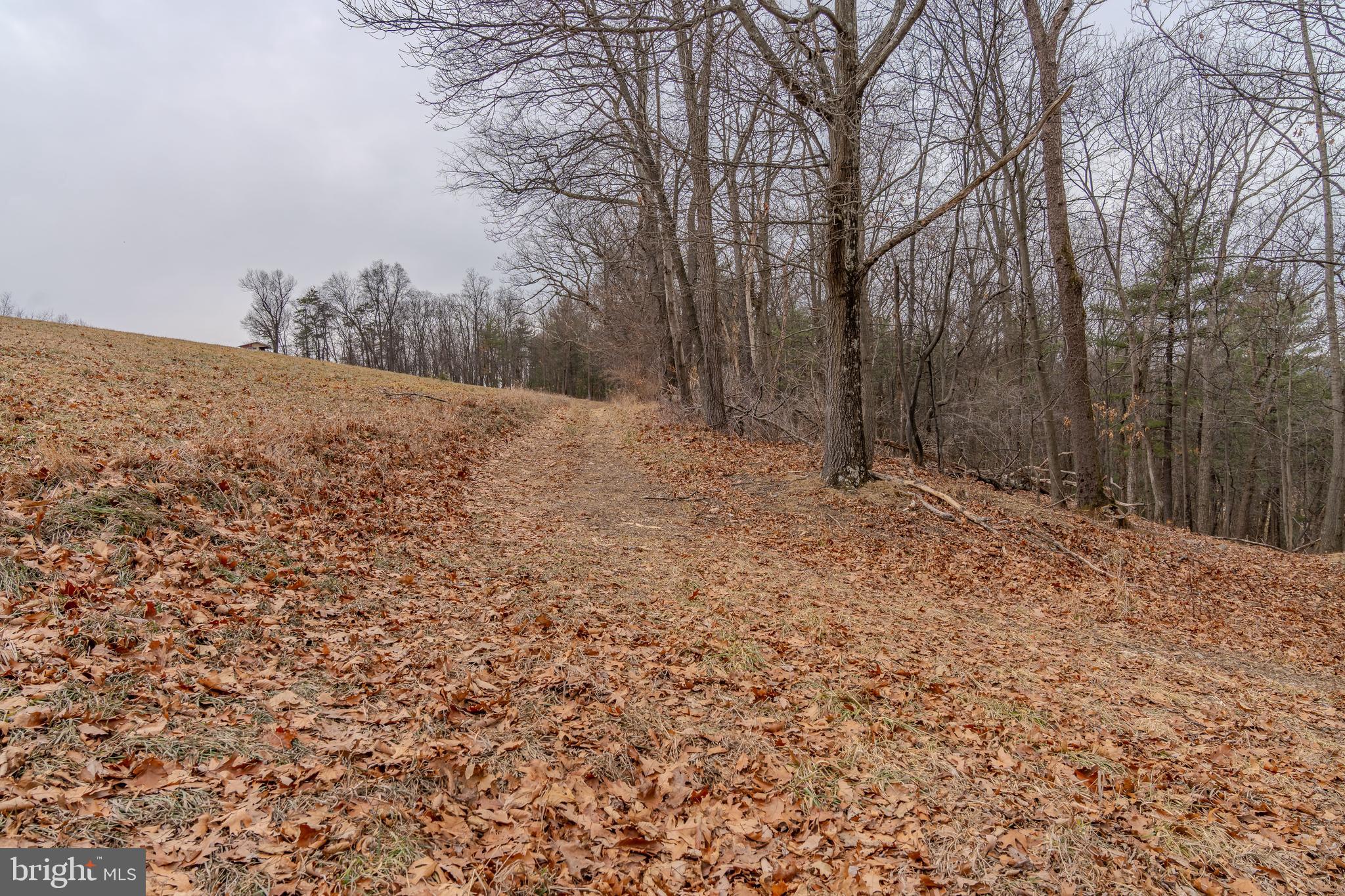 0 Vanormer Road, Unit 2 PARCEL McAlisterville, PA 17049 - Photo 5 of 19