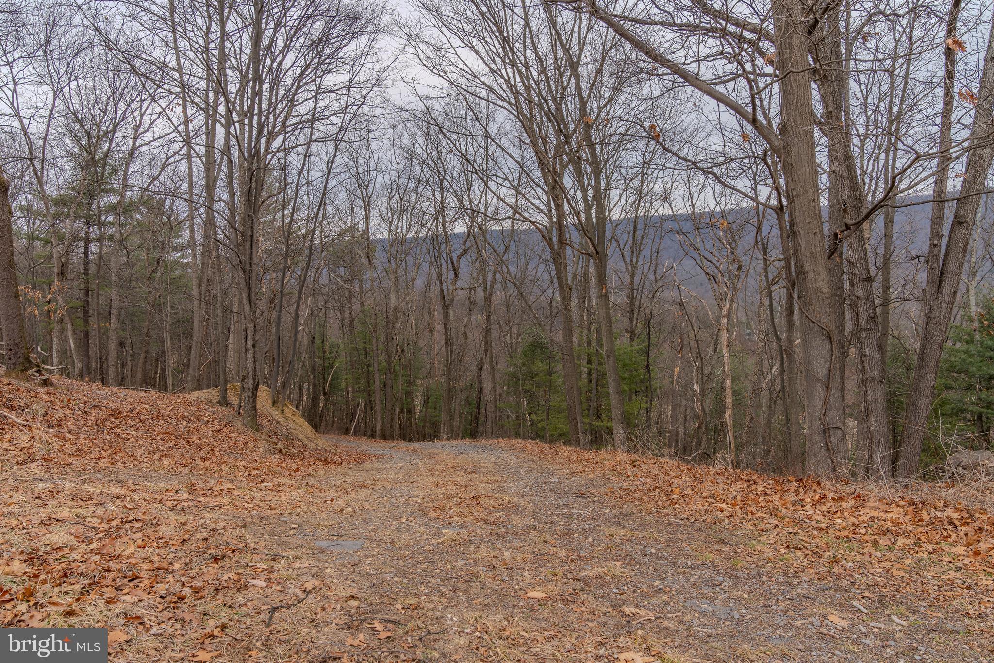 0 Vanormer Road, Unit 2 PARCEL McAlisterville, PA 17049 - Photo 6 of 19