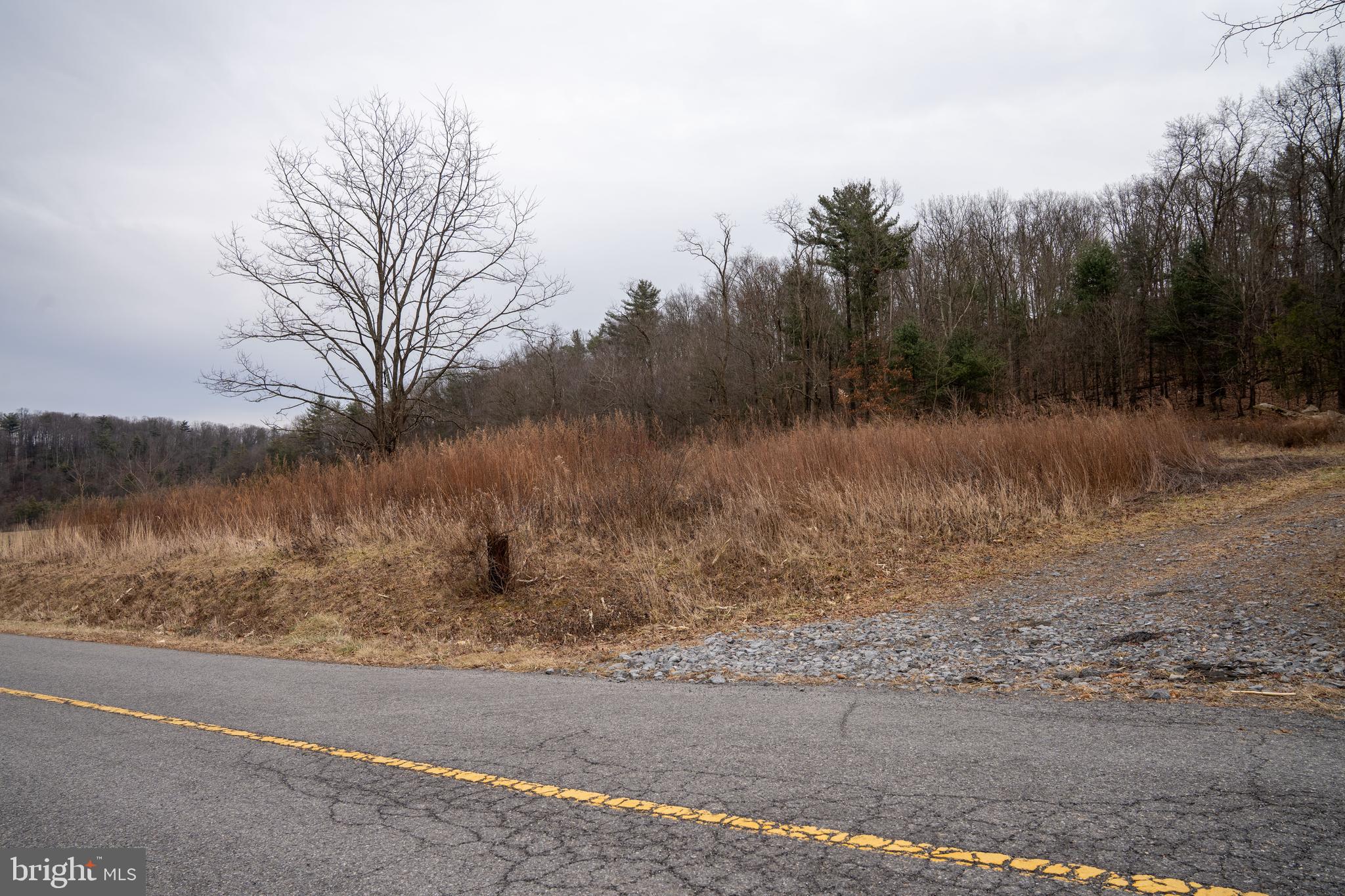 0 Vanormer Road, Unit 2 PARCEL McAlisterville, PA 17049 - Photo 8 of 19