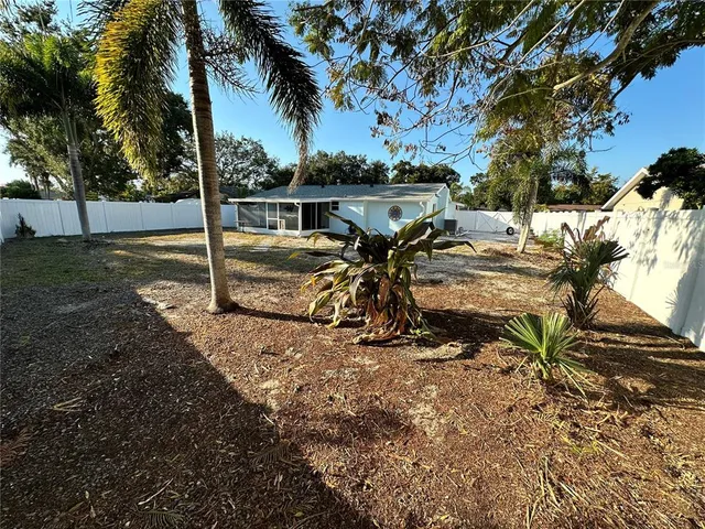 a view of a backyard with a tree
