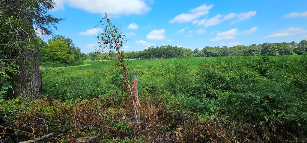 10.69-acres Summer Road Slocomb, AL 36375 - Photo 26 of 51
