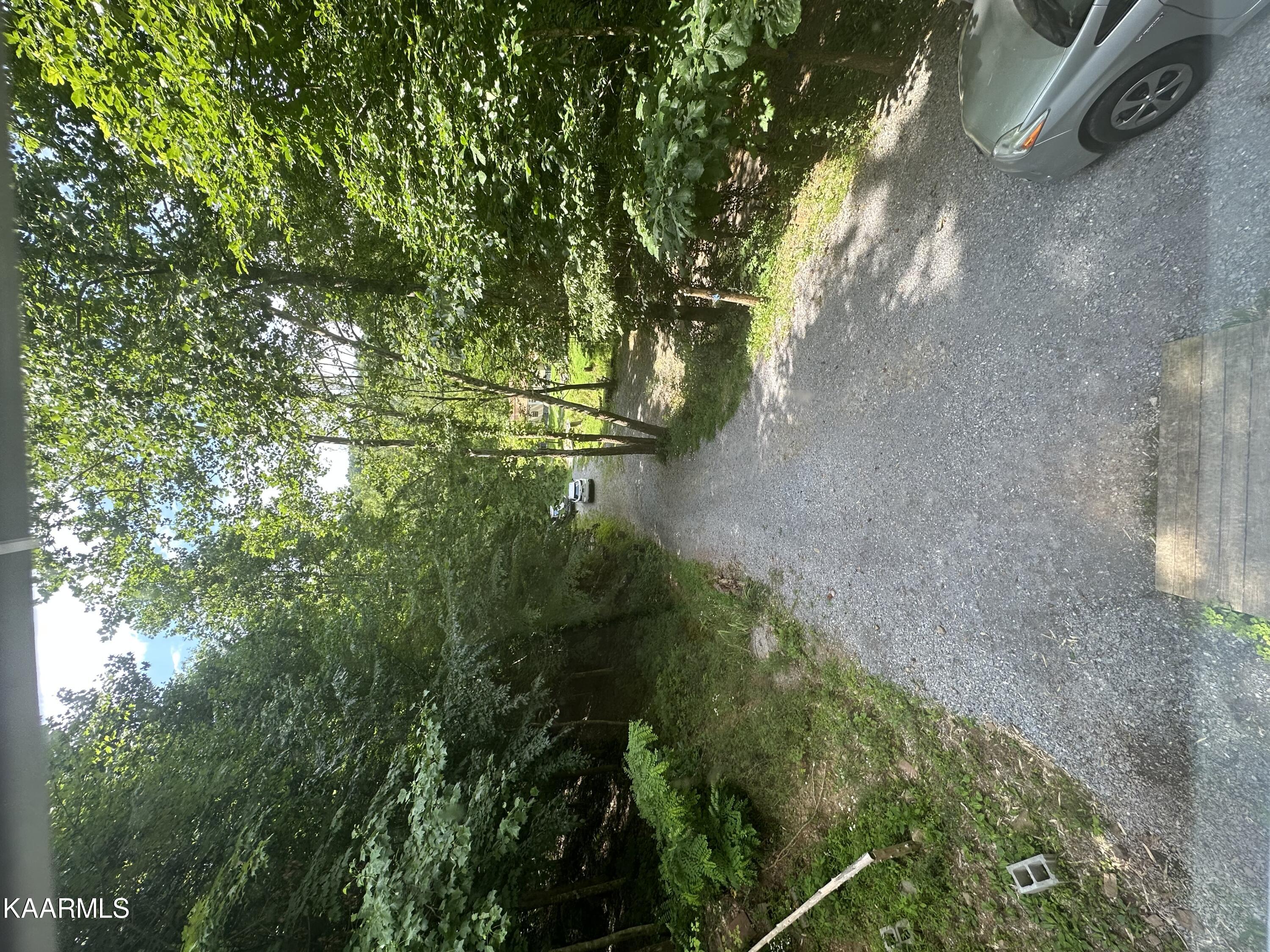 1010 Speedwell Road Bulls Gap, TN 37711 - Photo 38 of 51 79BA1B0D-0629-4DC0-9D5D-1C1585190218