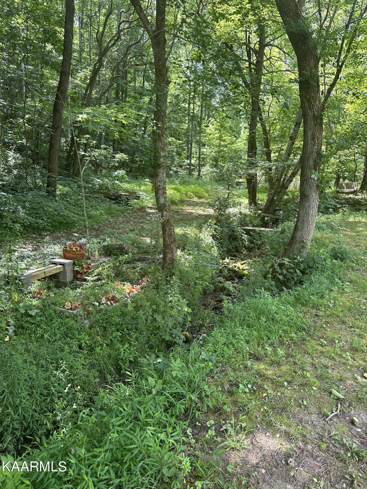 1010 Speedwell Road Bulls Gap, TN 37711 - Photo 40 of 51 107417A4-9BD9-4BC3-B171-E82304F505C4