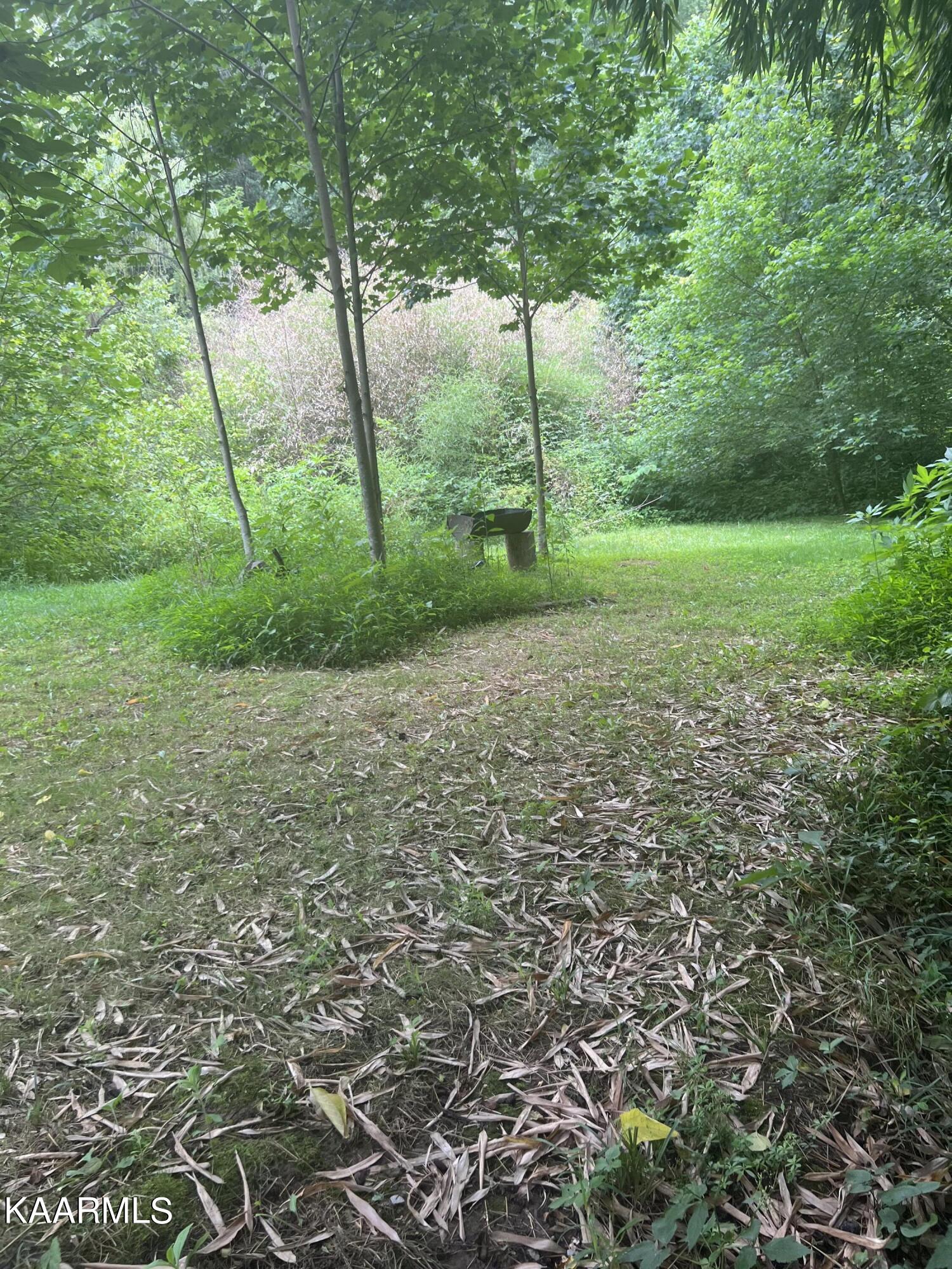 1010 Speedwell Road Bulls Gap, TN 37711 - Photo 51 of 51 11A8CD67-BCB8-40D2-98F8-AC7A05147E77