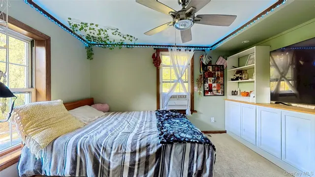 a living room with furniture a ceiling fan and a rug