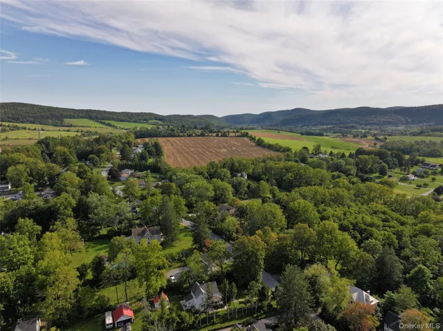 a view of a lush green field
