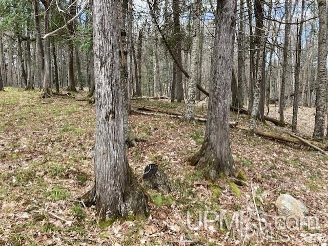 Tbd Channel Road Watersmeet, MI 49969 - Photo 21 of 33 Gallery Image 21