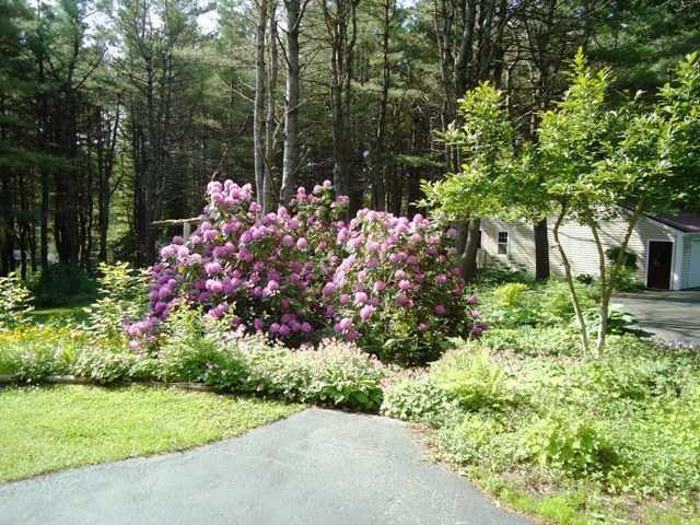 18 South Reynolds Road Winslow, ME 04901 - Photo 13 of 25 Yard/Garden.