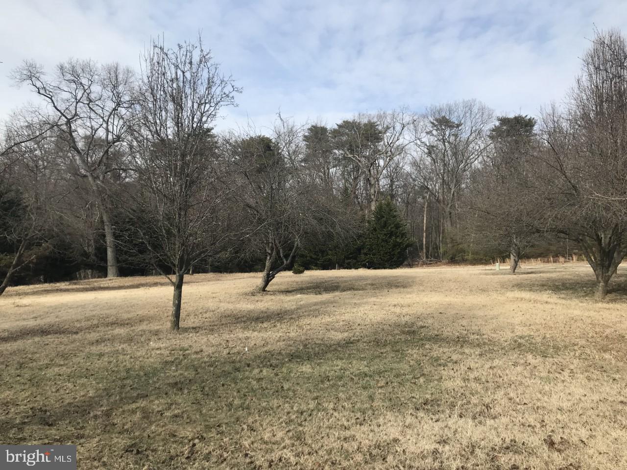 4422 Purple Martins Road Pasadena, MD 21122 - Photo 2 of 2 Plenty of Fruit Trees