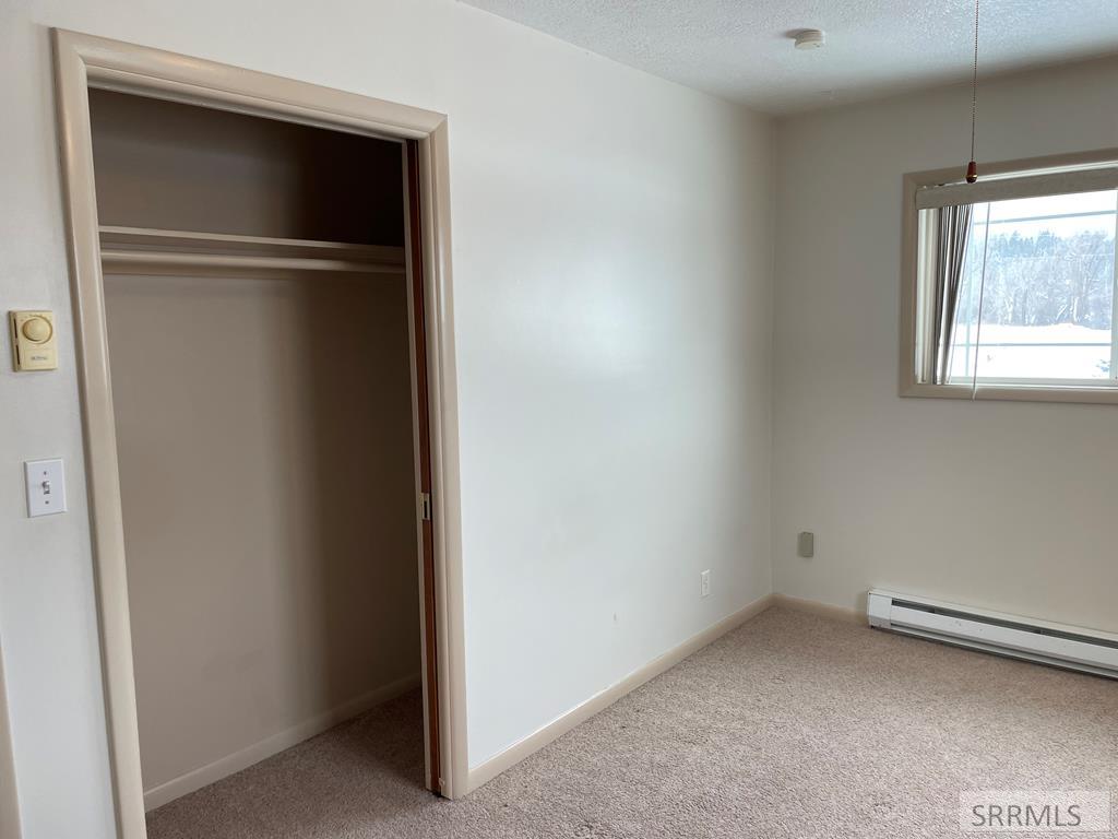 3787 Swan Valley Highway Irwin, ID 83428 - Photo 8 of 22