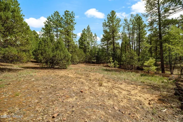 $75,000 | 1060 South Hacienda Pines Drive, Show Low, AZ 85901