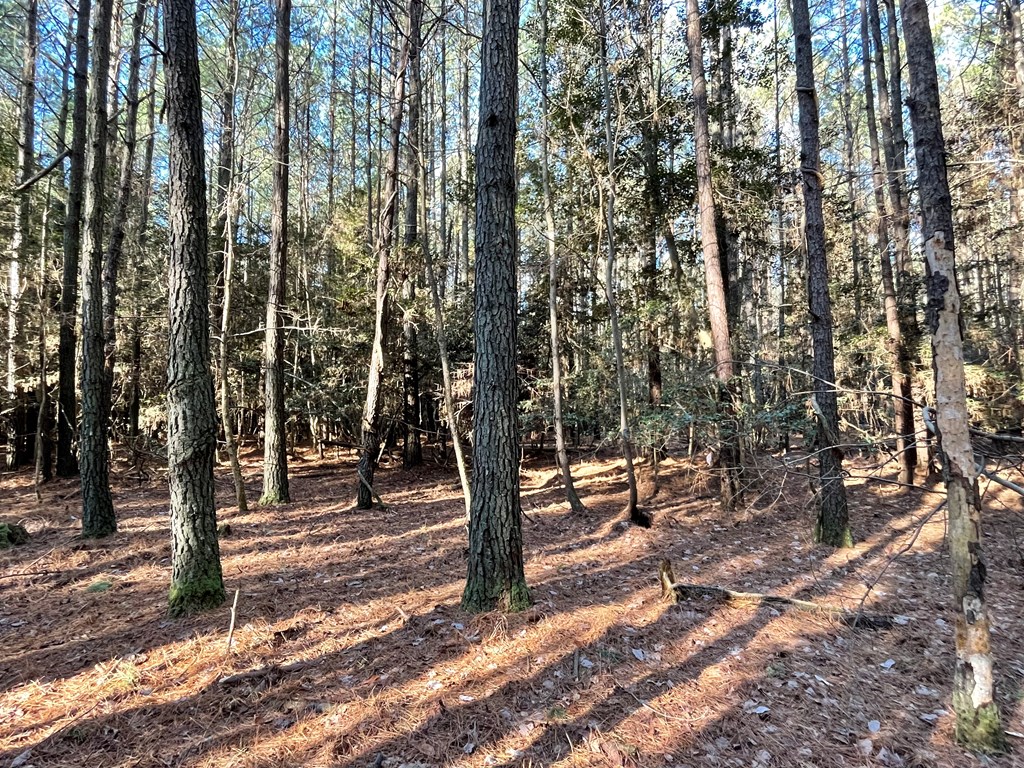 30.5 Elmore Road, Unit 2A2B Painter, VA 23420 - Photo 22 of 28