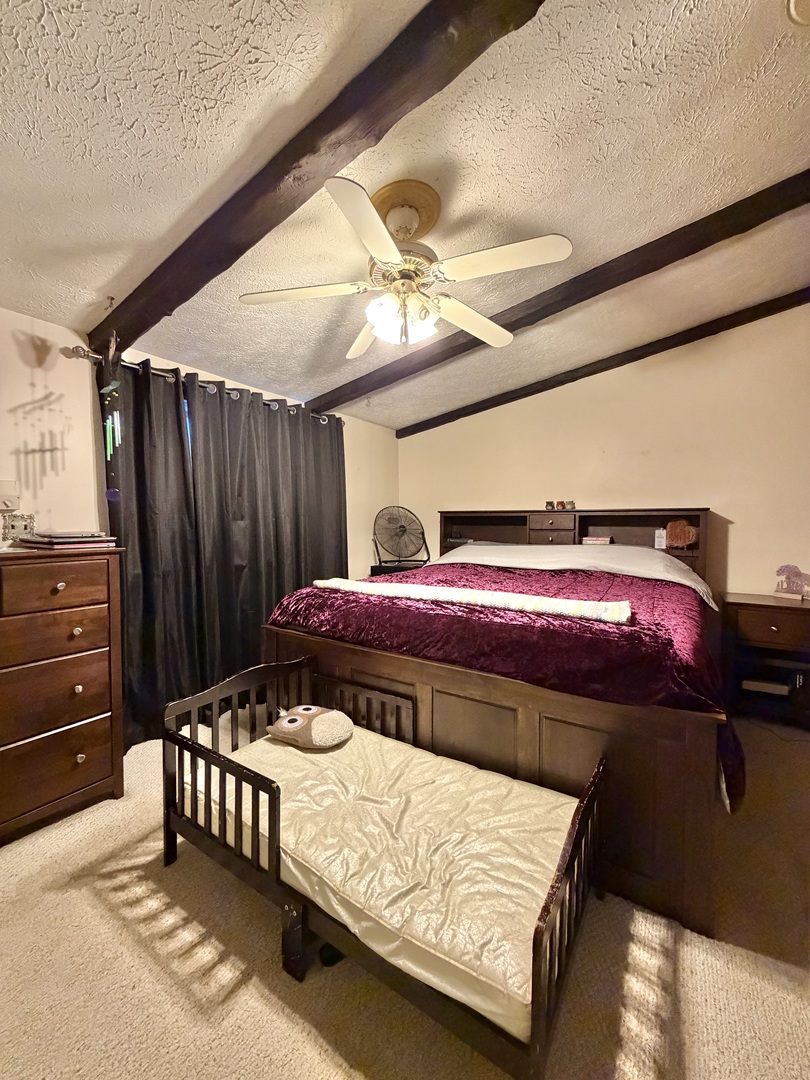 811 East Maple Street Chatsworth, IL 60921 - Photo 15 of 25