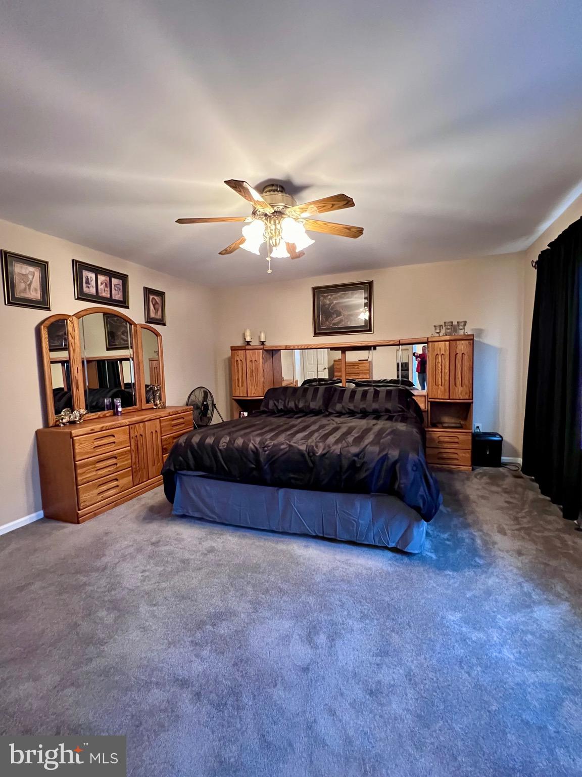 250 Rushes Drive Bear, DE 19701 - Photo 44 of 94