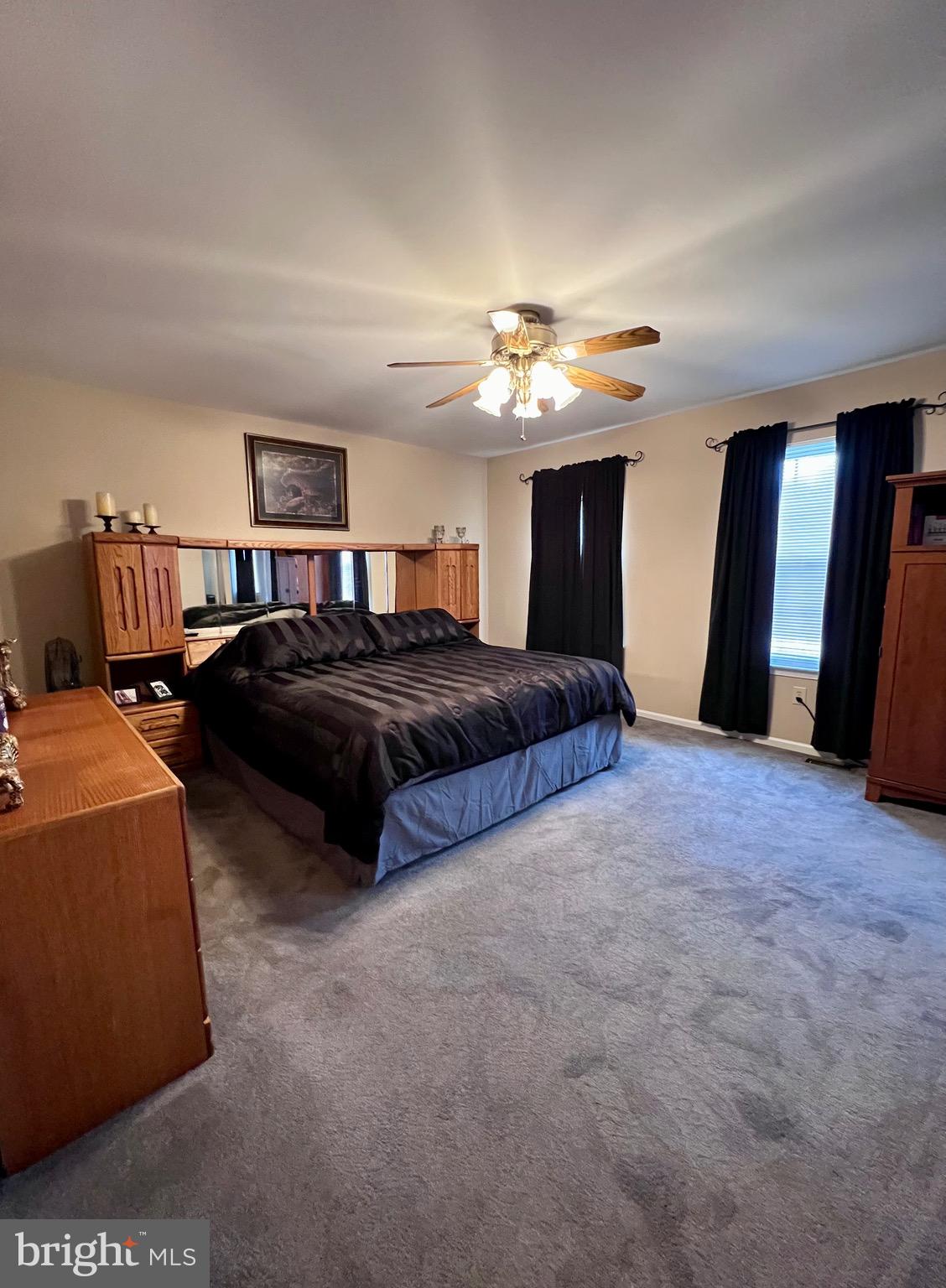 250 Rushes Drive Bear, DE 19701 - Photo 45 of 94