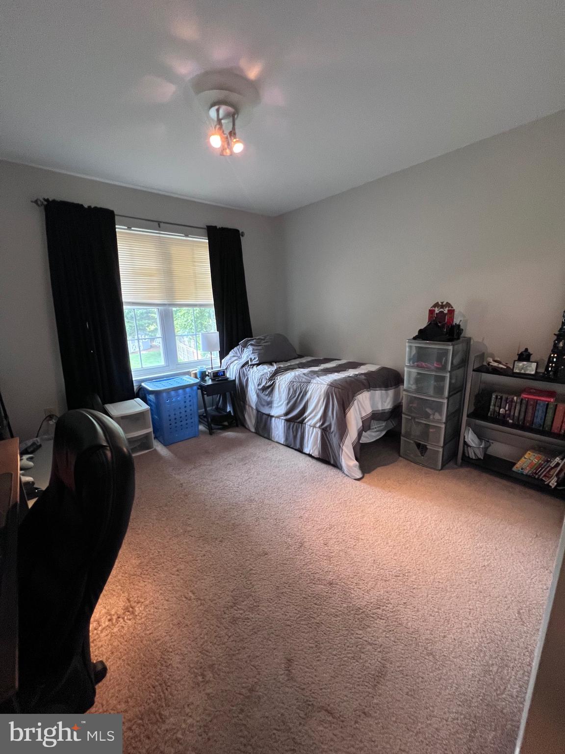 250 Rushes Drive Bear, DE 19701 - Photo 59 of 94