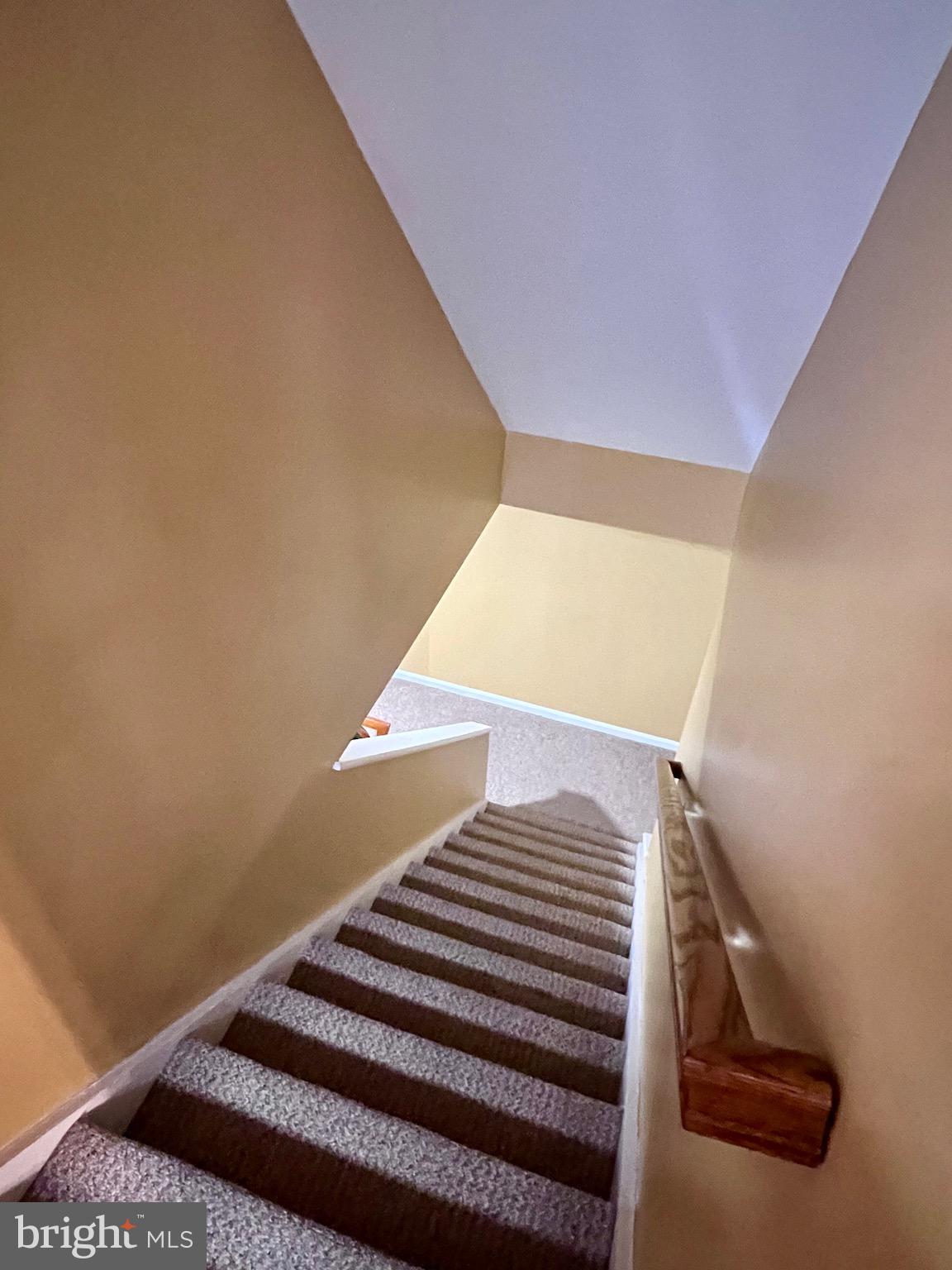 250 Rushes Drive Bear, DE 19701 - Photo 60 of 94