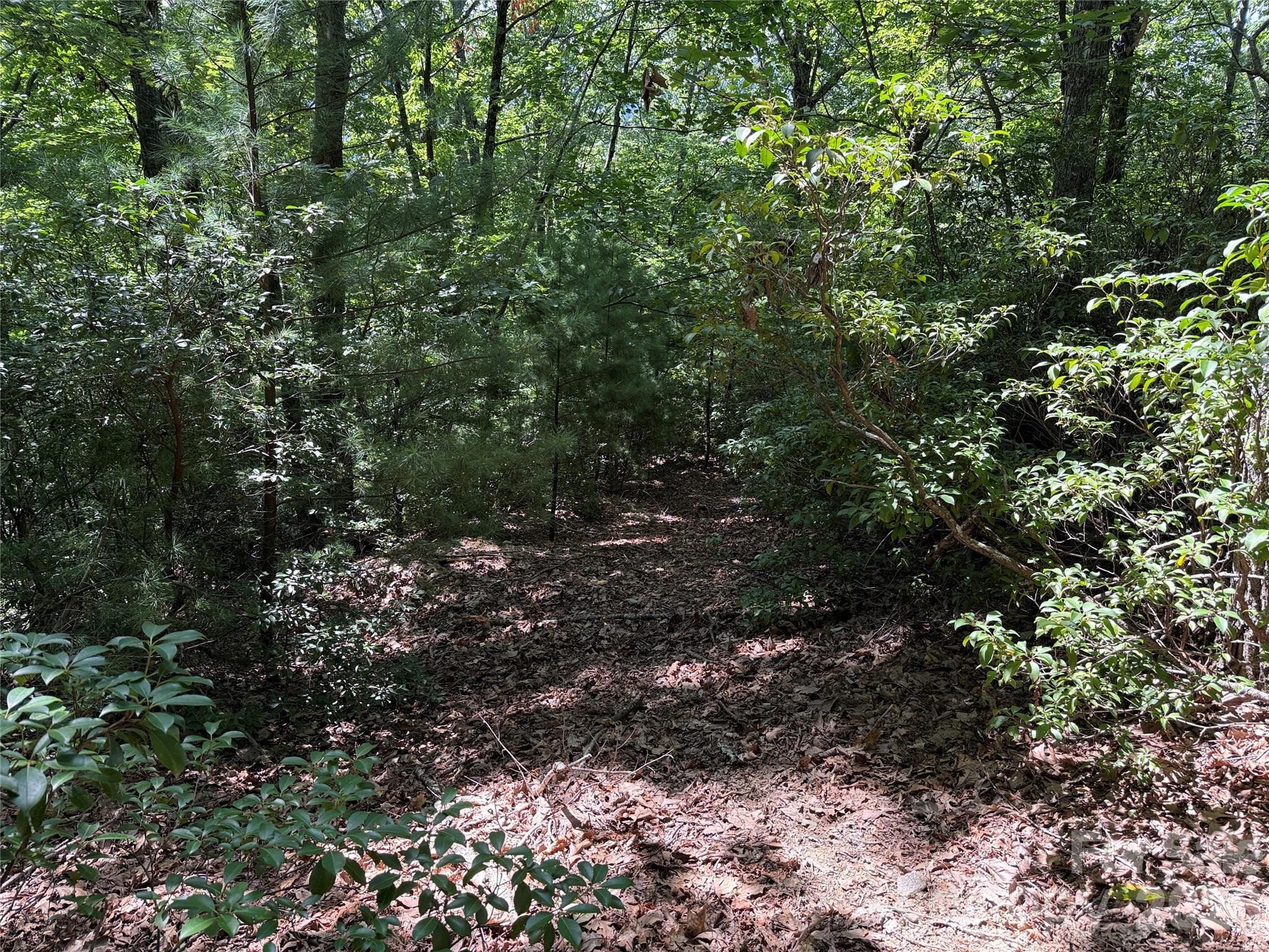 Tbd Hickory Holw Road, Unit 102 & 103 Purlear, NC 28665 - Photo 7 of 41