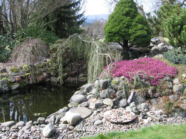 2493 Mt Pleasant Road Port Angeles, WA 98362 - Photo 6 of 24 Gallery Image 6
