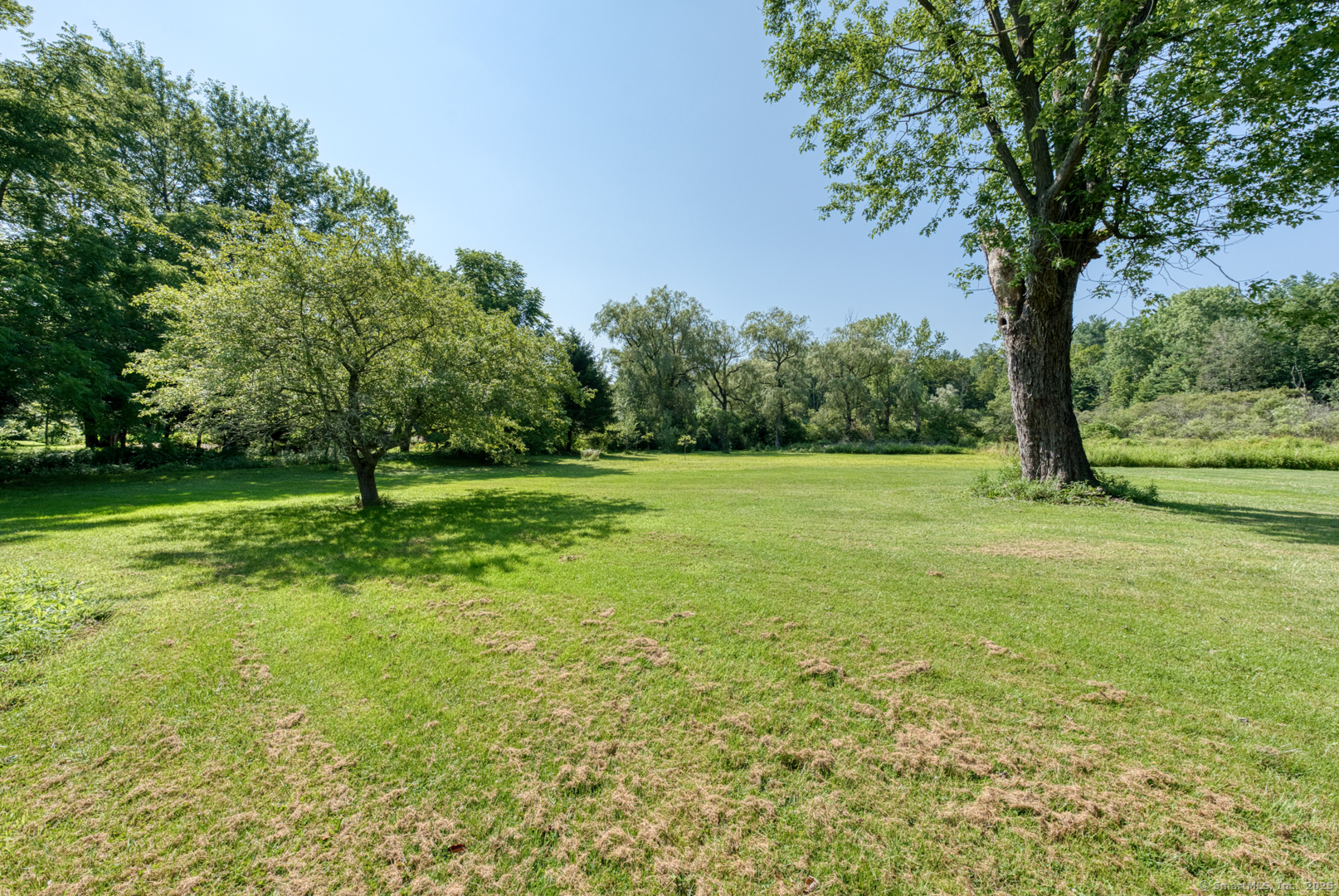 134 East Street Litchfield, CT 06759 - Photo 10 of 38 a view of a field with a tree