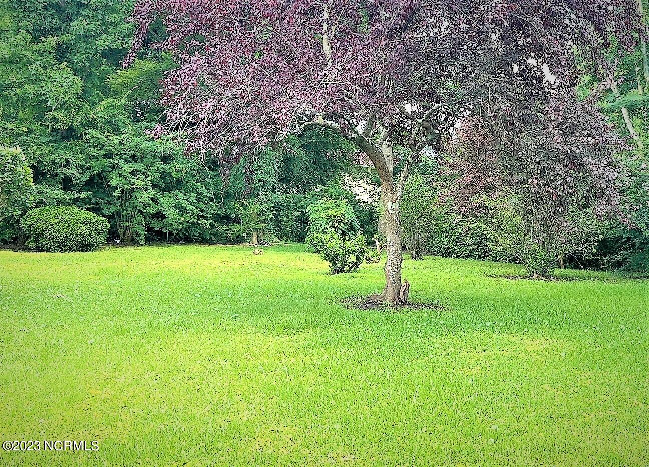 1016 Massey Road Jacksonville, NC 28546 - Photo 24 of 26