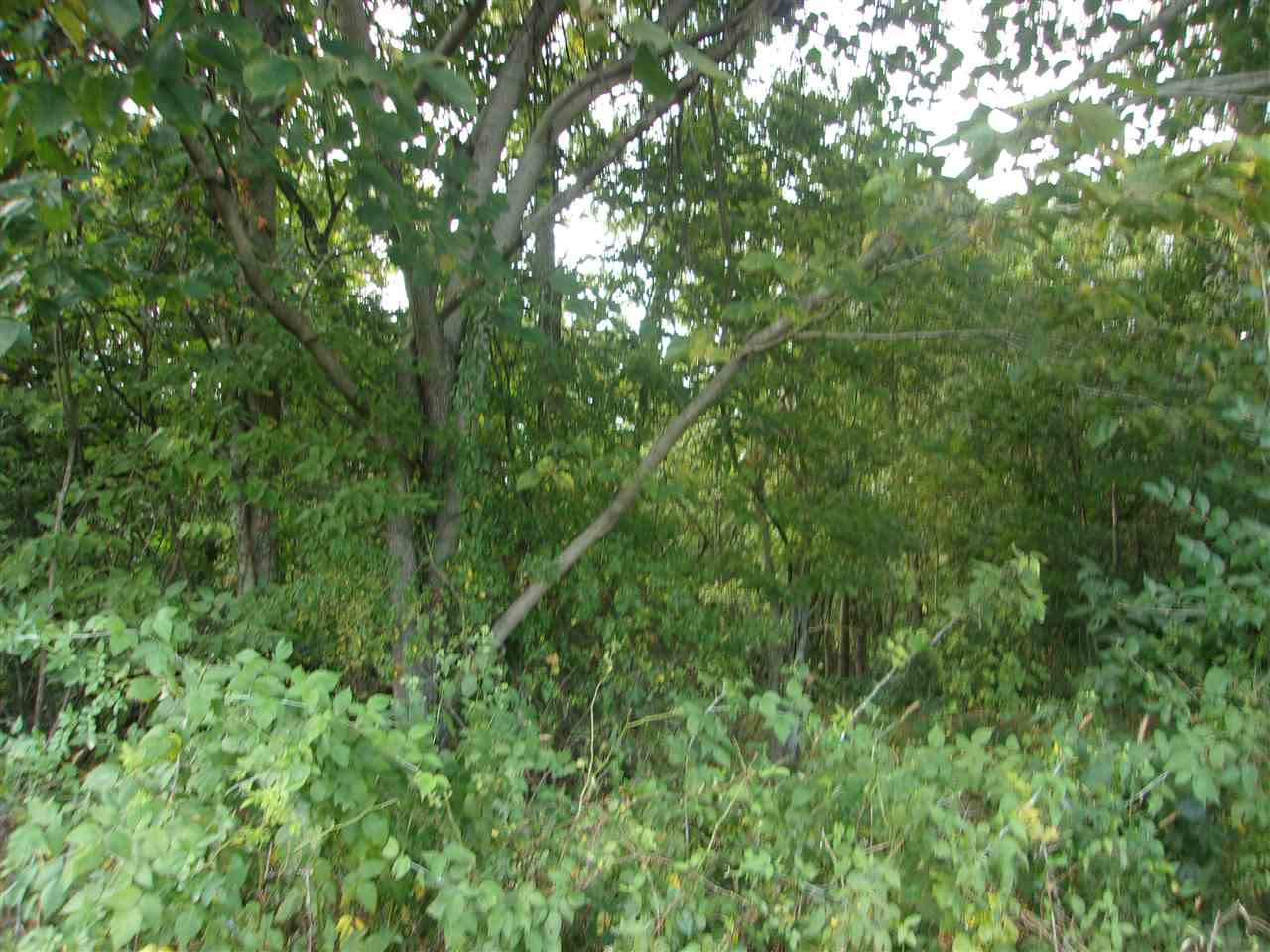 0 T T Wenz Road Dover, KY 41034 - Photo 23 of 35 Gallery Image 23